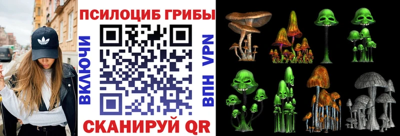 Галлюциногенные грибы MAGIC MUSHROOMS  Купить  Родники 